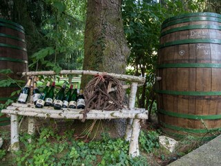 Appartement Zell Mosel Enregistrement extérieur 24