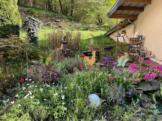 Bunte Frühlingsblüher