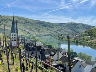 Spaziergang über die Weinberge von Merl
