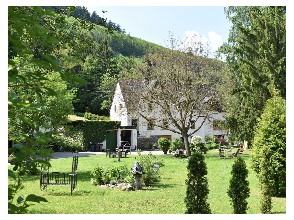 Apartamento Zell Mosel Grabación al aire libre 1