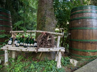 Appartamento Zell Mosel Registrazione all'aperto 4