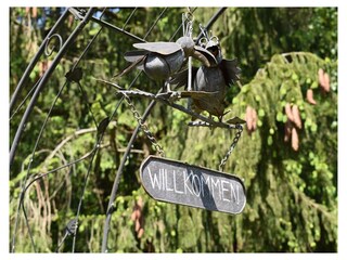 Appartamento Zell Mosel Registrazione all'aperto 5