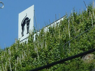 Apartamento Zell Mosel Grabación al aire libre 3