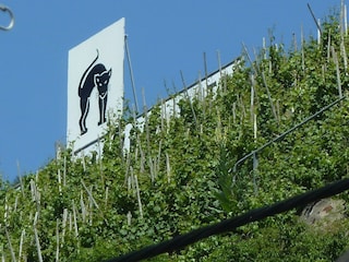 Appartamento Zell Mosel Registrazione all'aperto 3