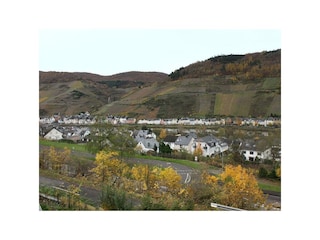 Aussicht aus den Wohnungen