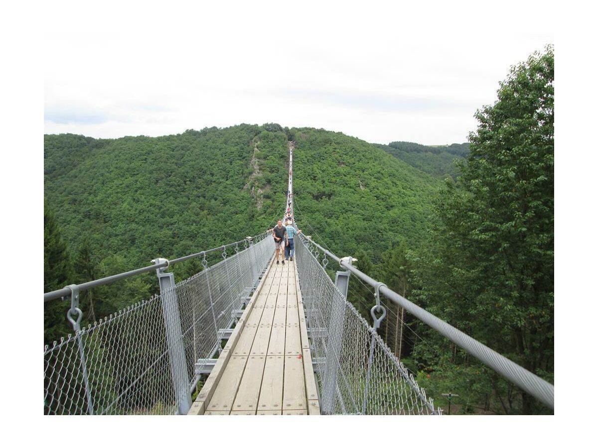 Hängeseilbrücke 2