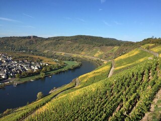 Appartamento St. Aldegund Caratteristiche 31