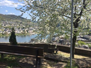 Appartamento St. Aldegund Caratteristiche 35