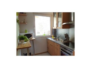 Apartamento Zell Mosel Grabación al aire libre 10