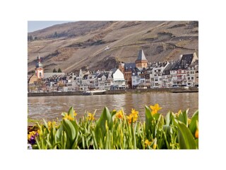 Apartamento Zell Mosel Grabación al aire libre 17