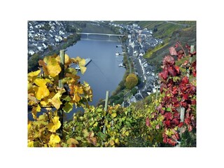 Apartamento Zell Mosel Grabación al aire libre 19