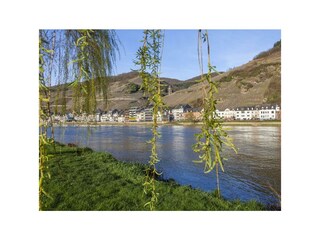 Apartamento Zell Mosel Grabación al aire libre 21