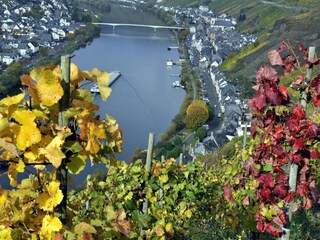 Apartamento Zell Mosel Grabación al aire libre 33