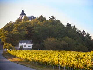 Apartamento Zell Mosel Grabación al aire libre 34