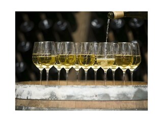 Appartamento Zell Mosel Caratteristiche 48