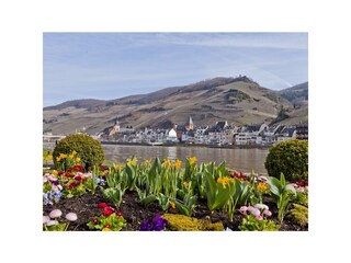 Appartement Zell Mosel Kenmerken 40