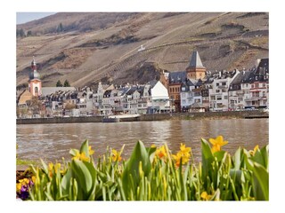 Appartamento Zell Mosel Registrazione all'aperto 22