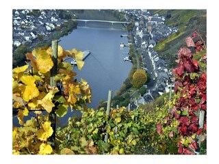 Appartamento Zell Mosel Registrazione all'aperto 25