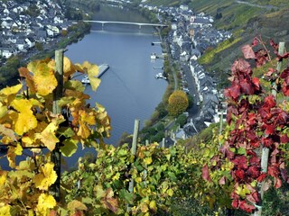 Appartement Zell Mosel Buitenaudio-opname 37