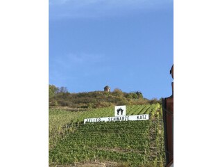 Apartamento Zell Mosel Grabación al aire libre 1