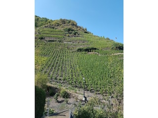 Appartement St. Aldegund Buitenaudio-opname 4