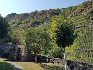 Appartement St. Aldegund Buitenaudio-opname 7