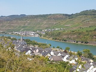 Blick auf Sankt Aldegund