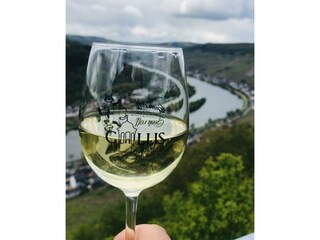 Appartement Zell Mosel Buitenaudio-opname 2