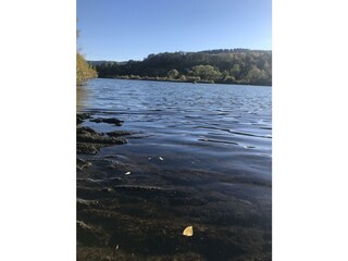 Apartamento Zell Mosel Grabación al aire libre 5