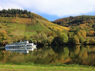 Haus Moselwiese Moselblick Bootsfahrten