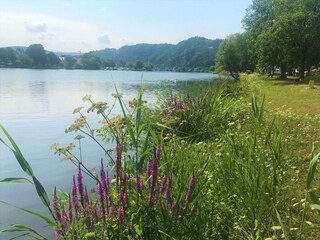 12 Haus Moselwiese  Garten Flussblick