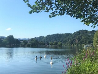 Appartement Alf Enregistrement extérieur 11