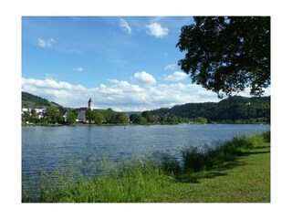 18 Haus Moselwiese 40 qm Garten Ausblick