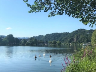Haus Moselwiese Ausblick Garten