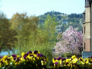 Haus Moselwiese 60 qm Balkon 2