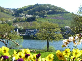 Appartement Alf Équipement 19
