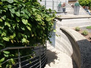 Vakantieappartement "Mosel" (3 sterren DTV)