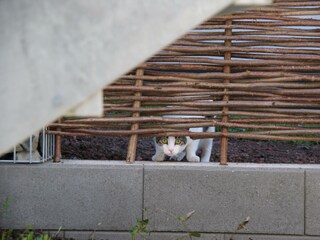 Appartement Alf Kenmerken 82