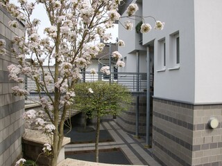 Appartamento Alf Registrazione all'aperto 8