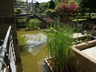 Appartamento Alf Registrazione all'aperto 10