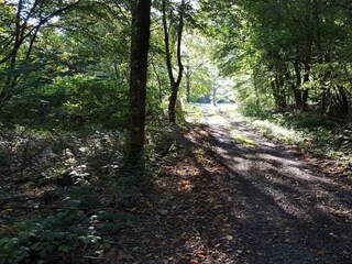 Appartamento Alf Registrazione all'aperto 40