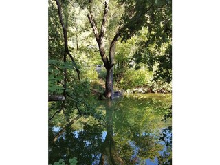 Appartamento Alf Registrazione all'aperto 41