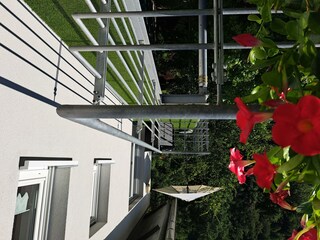 Appartamento Alf Caratteristiche 87