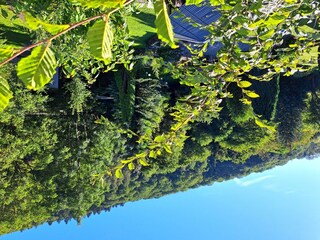 Apartamento Alf Características 89