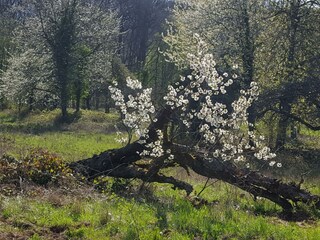 Apartamento Alf Grabación al aire libre 69