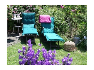 Garten im Sommer