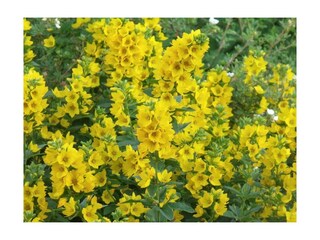 Appartement Grenderich Buitenaudio-opname 1