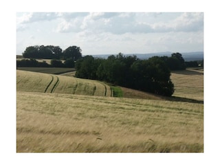 Blick in die Eifel