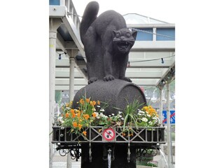 Appartamento Zell Mosel Registrazione all'aperto 12