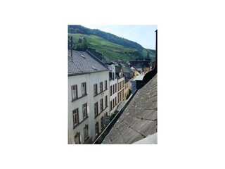 Appartamento Zell Mosel Registrazione all'aperto 13